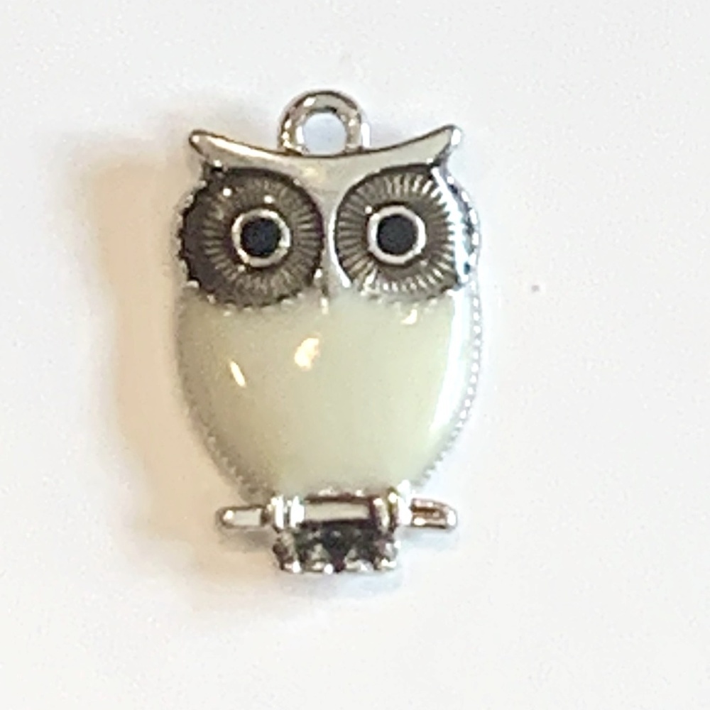 Owl enamel and silver charm / pendant